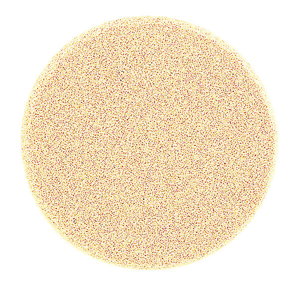 PEGGY SAGE  SPUGNA TRUCCO LATTICE X 2