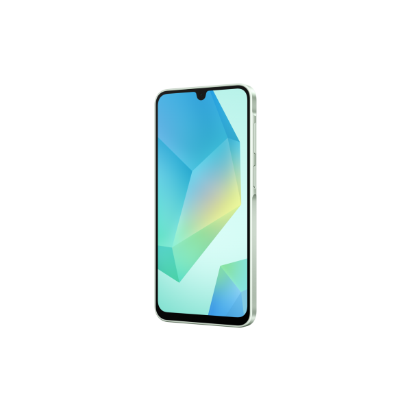 Samsung Galaxy A16 [SM-A165FLGBEUE]