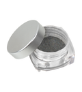 PEGGY SAGE  PAILLETTE PER UNGHIE CHROME EFFECT HOLO - 0,5G
