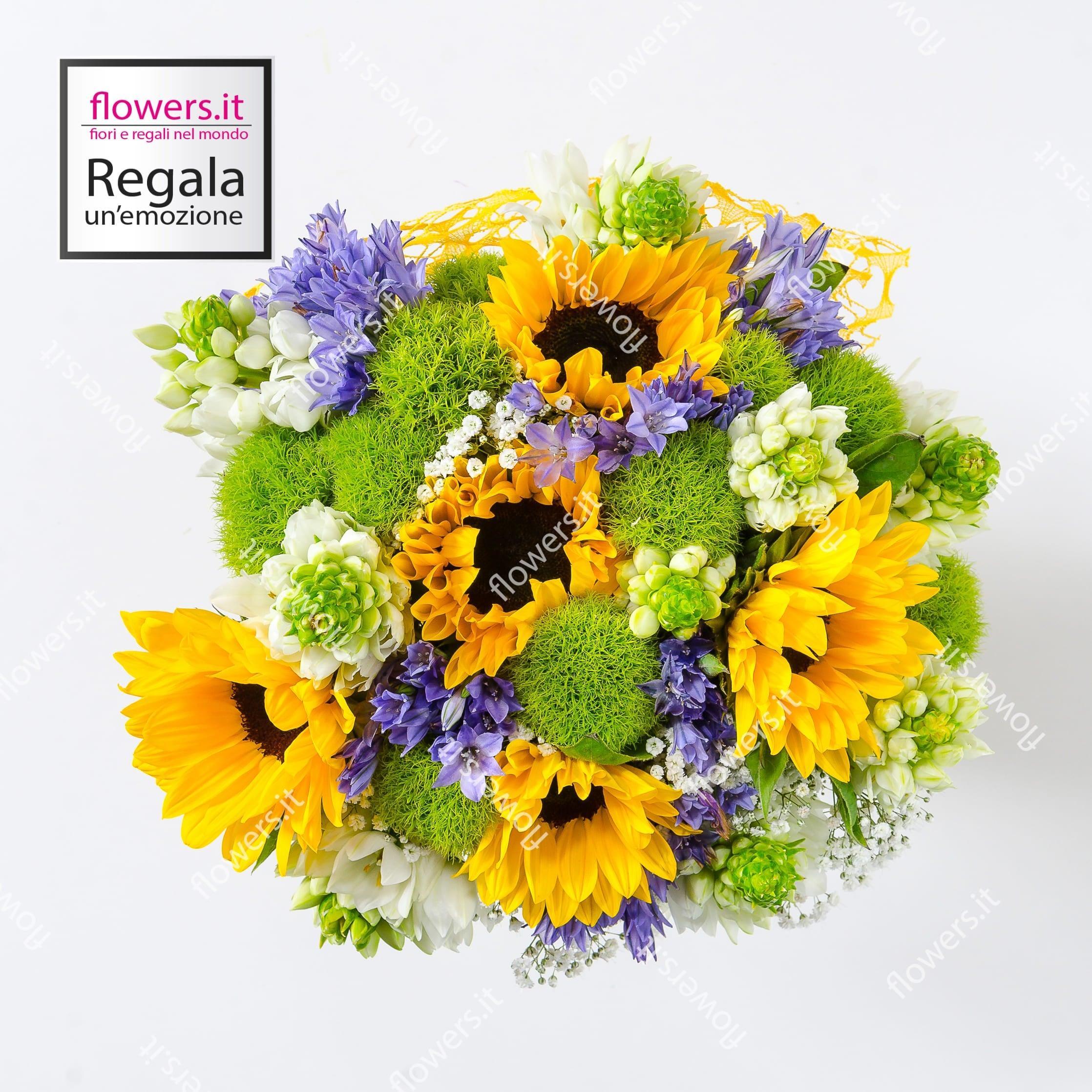 VITALITA' - Girasoli, ornitogallo, green trek e fiori di Fabiola