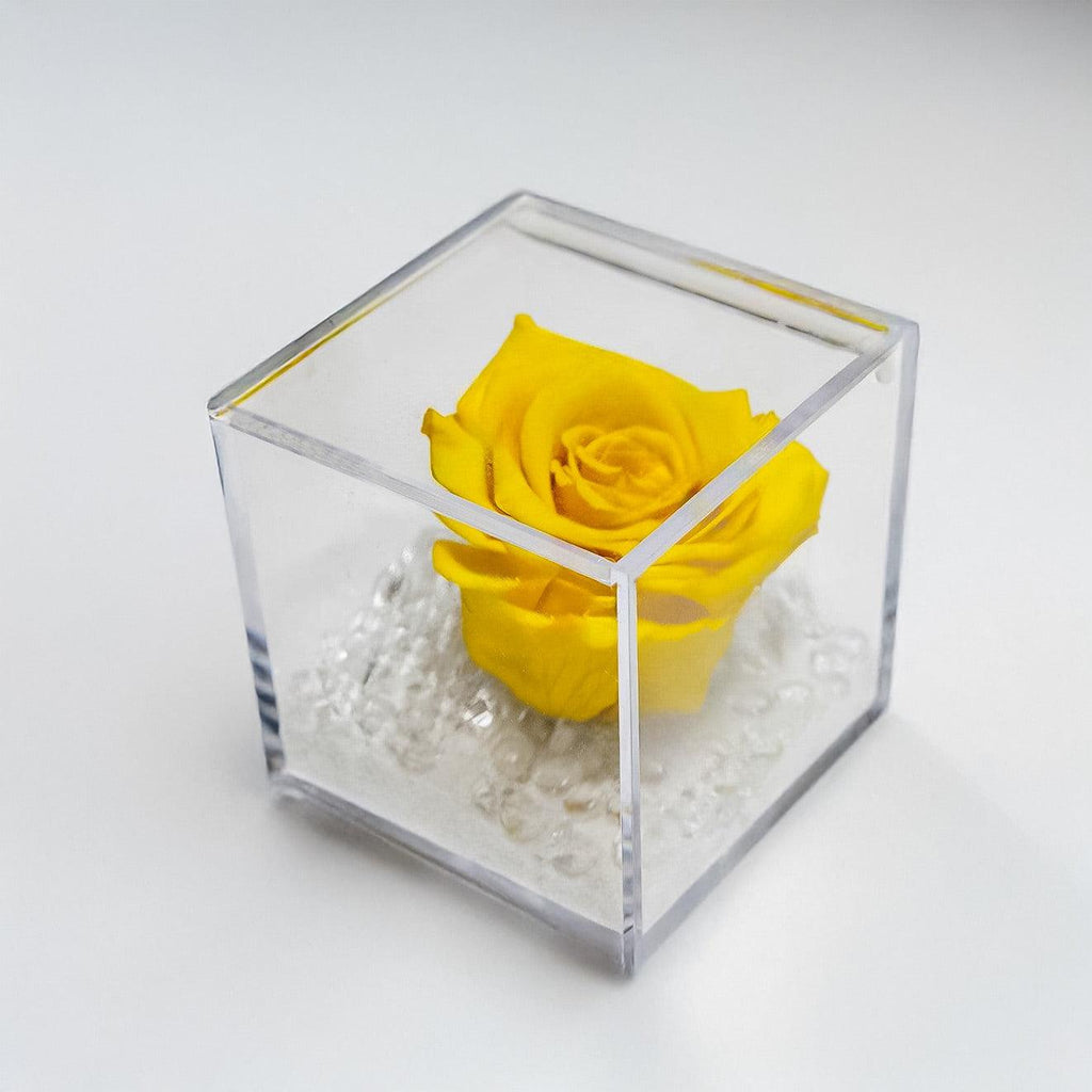 La Rosa Gialla Stabilizzata: uno scrigno eterno di emozione