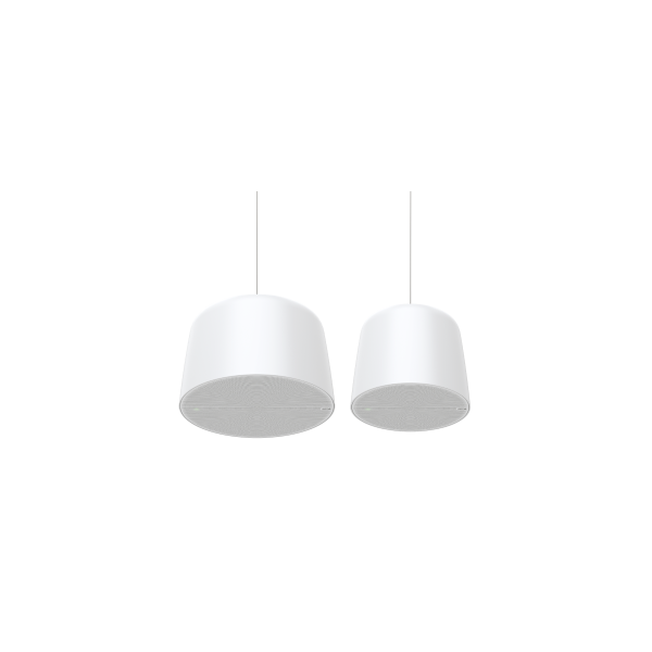 AXIS C1511 NETWORK PENDANT SPEAKER - PROMO FINO AD ESAURIMENTO SCORTE [02390-001]