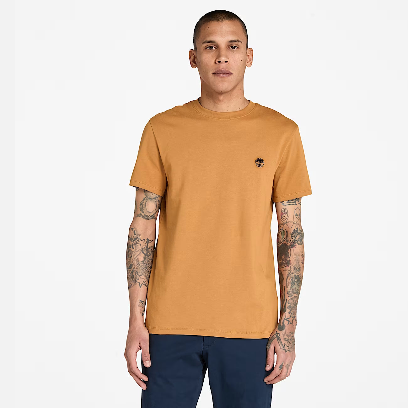 Timberland T-shirt Uomo Dunstan River TB0A2BPR P47 Grano