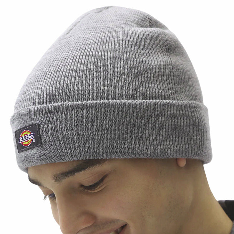 Dickies Berretto Gibsland 2000002000518 Grigio