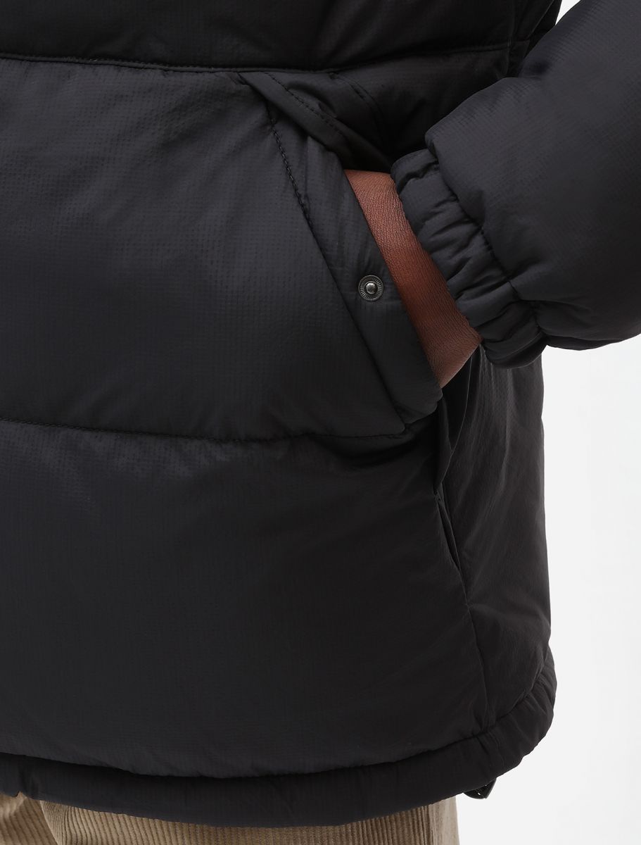 Dickies Piumino Waldenburg Uomo DK0A4XP2BLK1 Nero Resistente Acqua