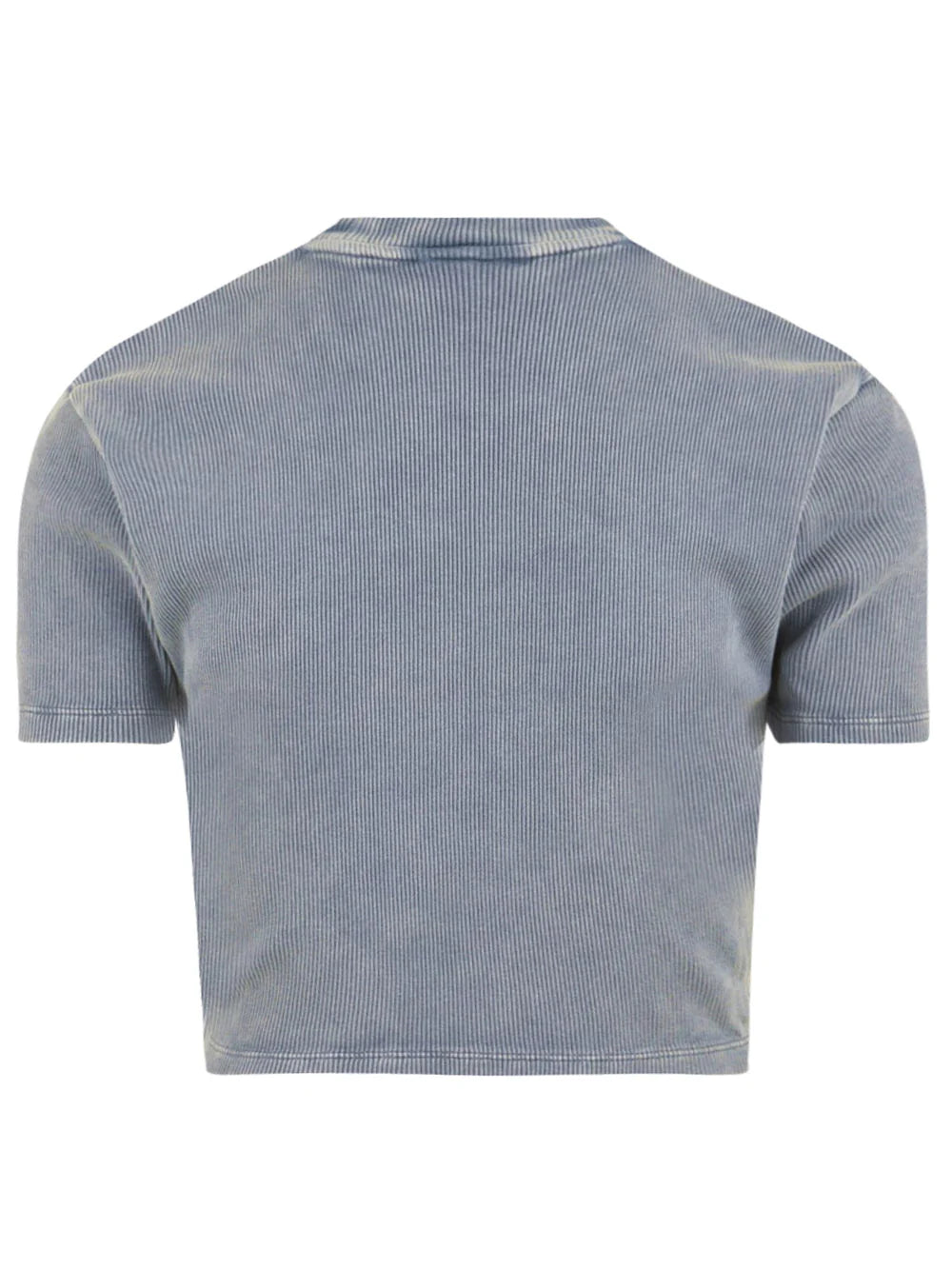 Dickies T-Shirt Donna Plentywood Coste DK0A866FL391 Stormy Weather | XS-L
