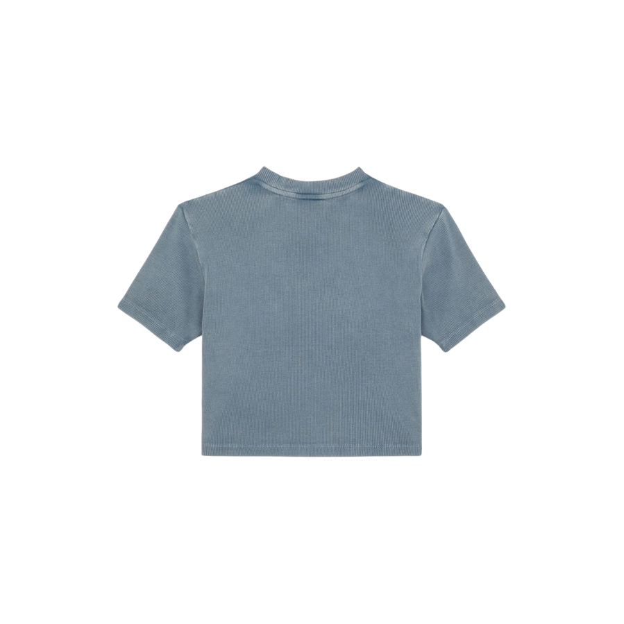 Dickies maglietta manica corta da donna a coste Plentywood DK0A866FG701 nuvole grigie