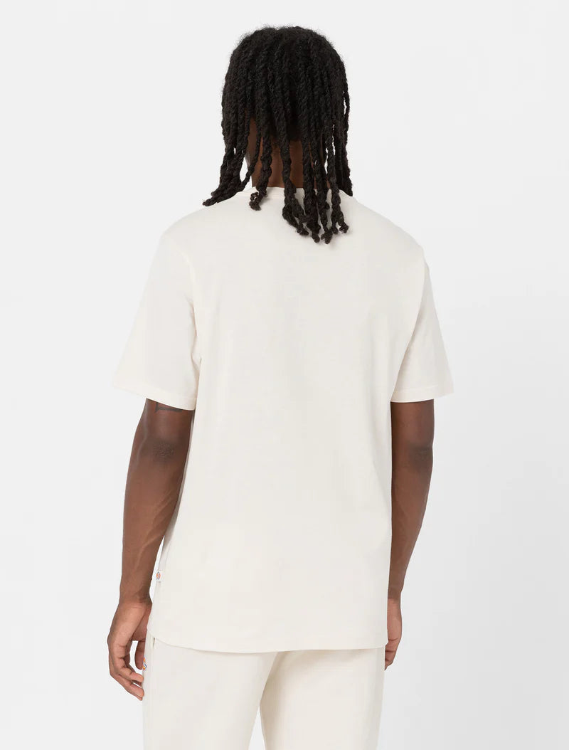 Dickies maglietta manica corta da uomo Mapleton dk0a4xdbf901 panna