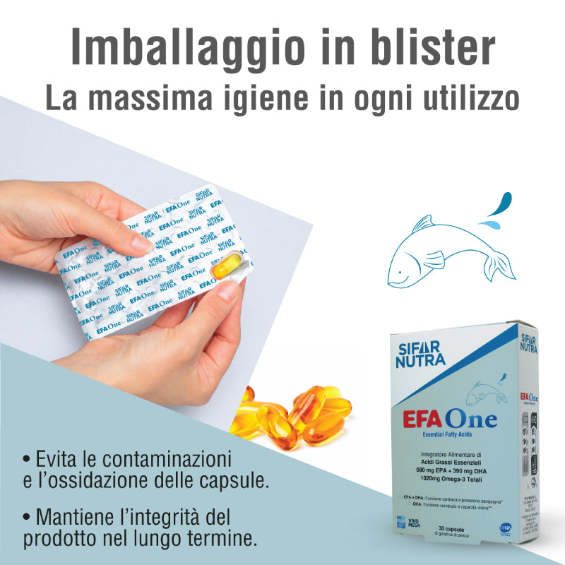 EFA One