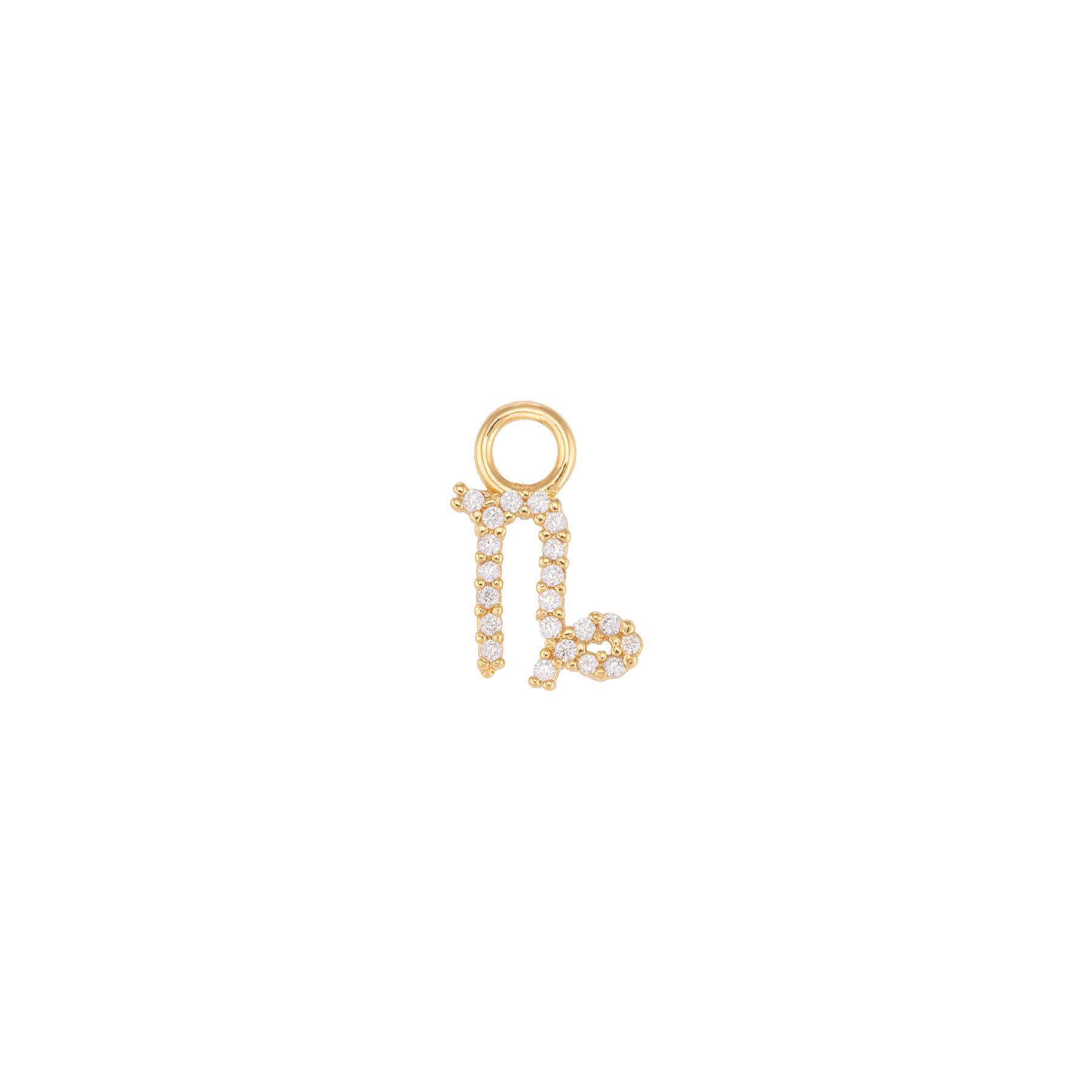 Capricorno Charm