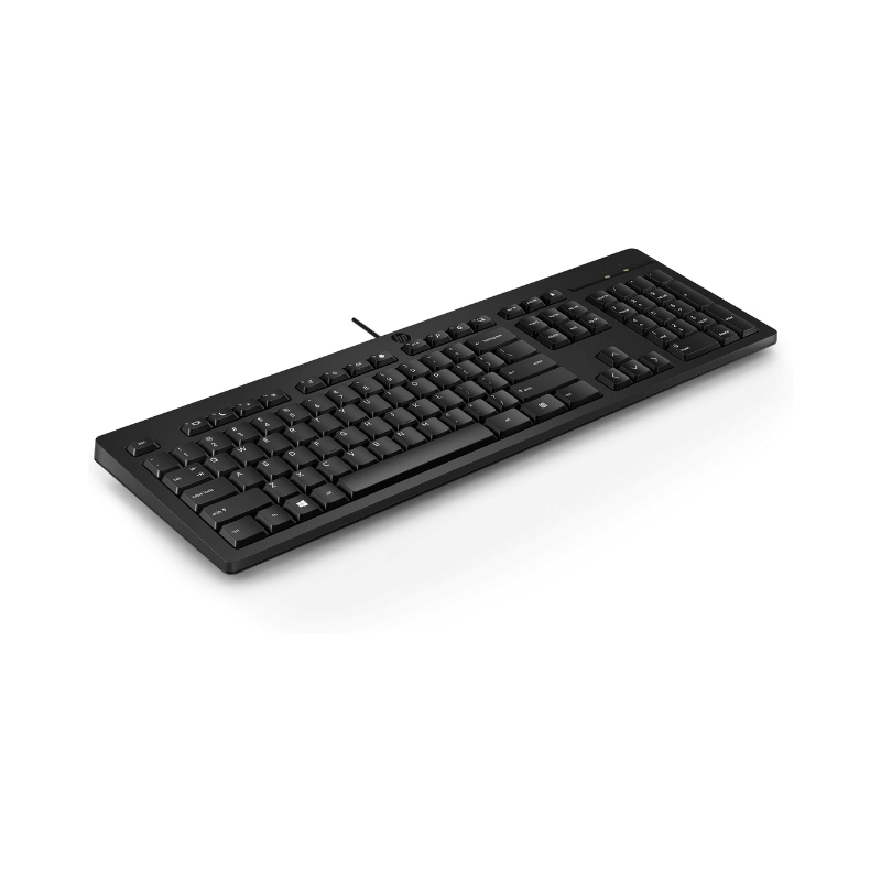 HP Tastiera 125 Wired, Full-size (100%), Cablato, USB, Interruttore a chiave a membrana, Nero [266C9ET#ABZ]