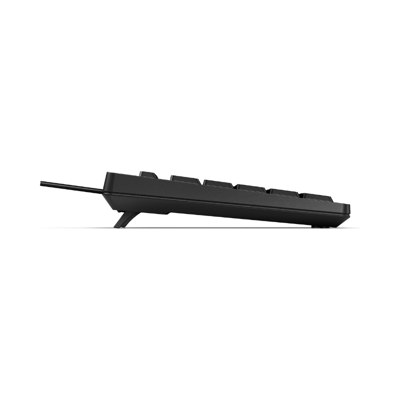 HP Tastiera 125 Wired, Full-size (100%), Cablato, USB, Interruttore a chiave a membrana, Nero [266C9ET#ABZ]