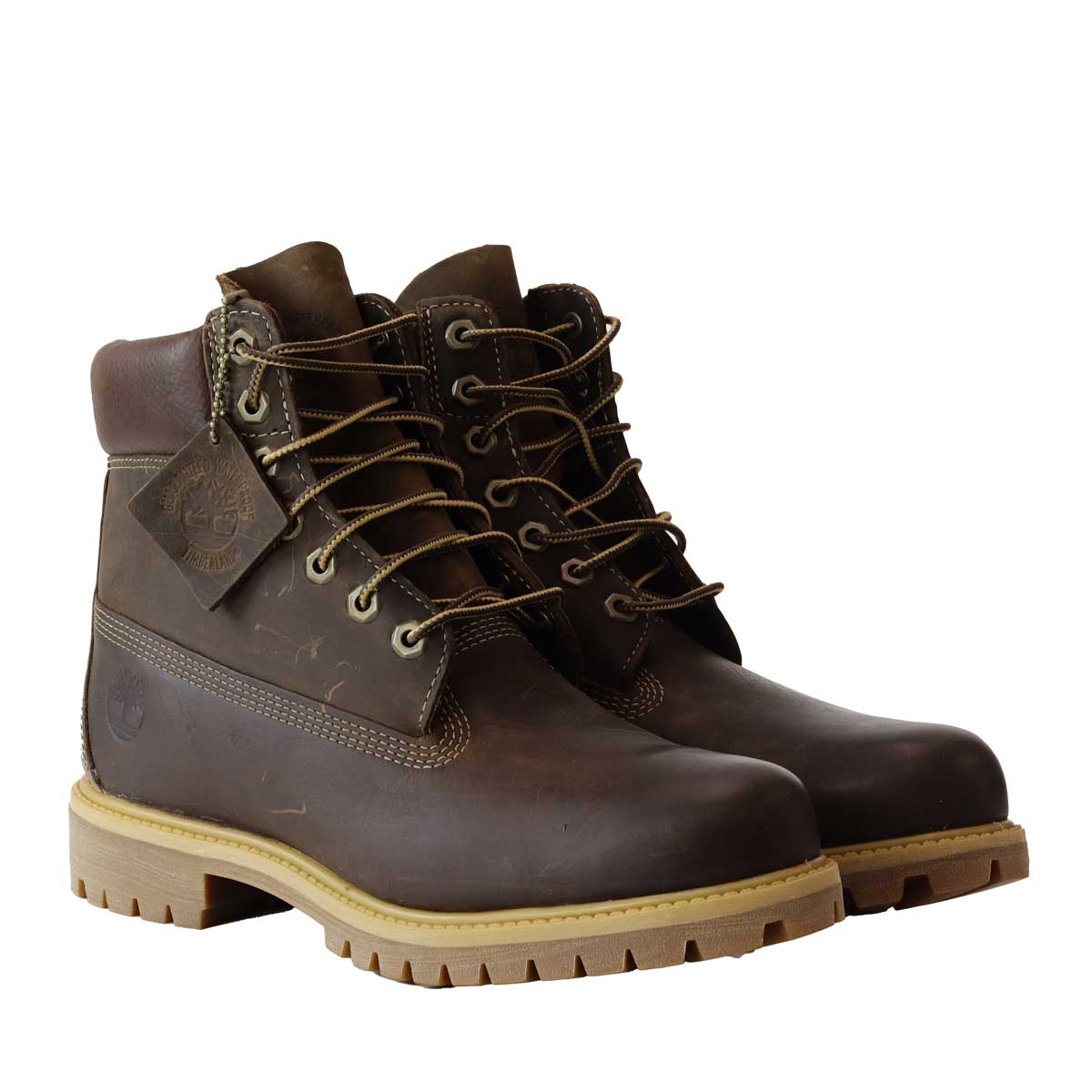 ANFIBIO PREMIUM 6 LACE MARRONE