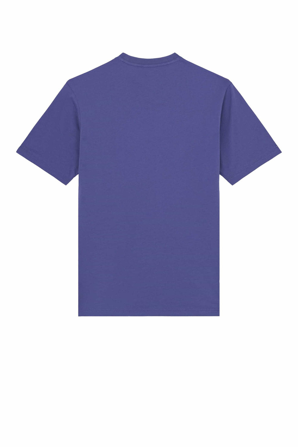 Maglietta Dickies Mapleton Uomo DK0A4XDBK421 - Blu Autentico