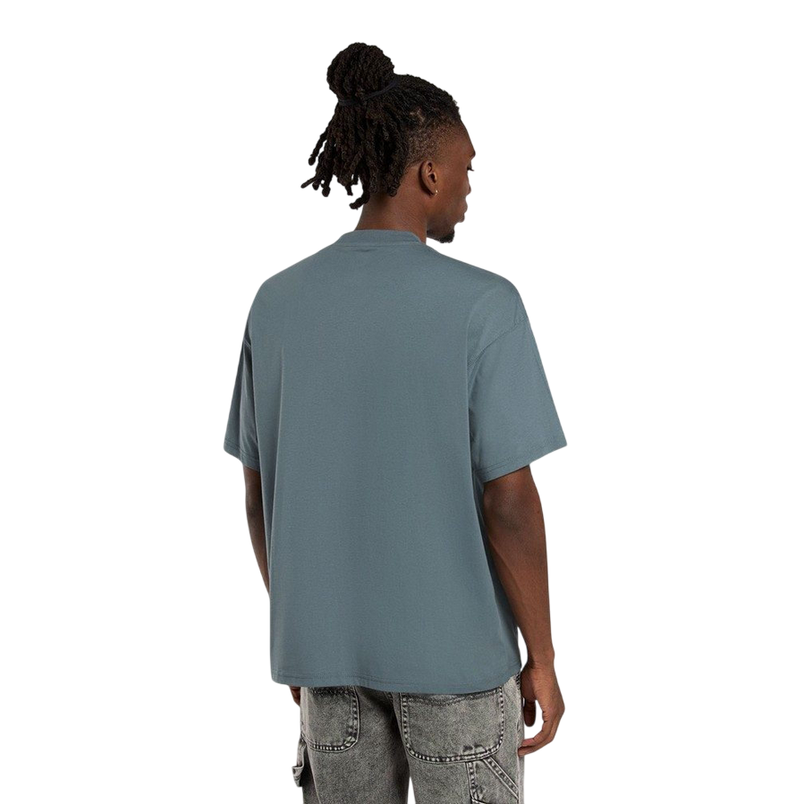 Dickies maglietta manica corta da uomo Enterprise DK0A4YRNG701 nuvole grigie