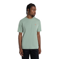 Dickies maglietta manica corta da uomo Mapleton DK0AXDBK361 salvia