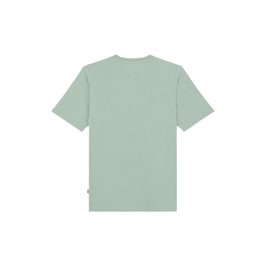 Dickies maglietta manica corta da uomo Mapleton DK0AXDBK361 salvia