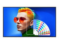 SIZE: 55 PANTONE X SKINTONE LED 3840X2160 [SL5504]