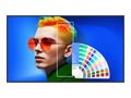 SIZE:65 PANTONE X SKINTONE LED 3840X2160 [SL6504]