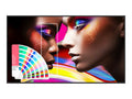 65 PANTONE X SKINTONE LED 3840X2160 24/7 [SH6504]