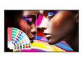 75 PANTONE X SKINTONE LED 3840X2160 24/7 [SH7504]