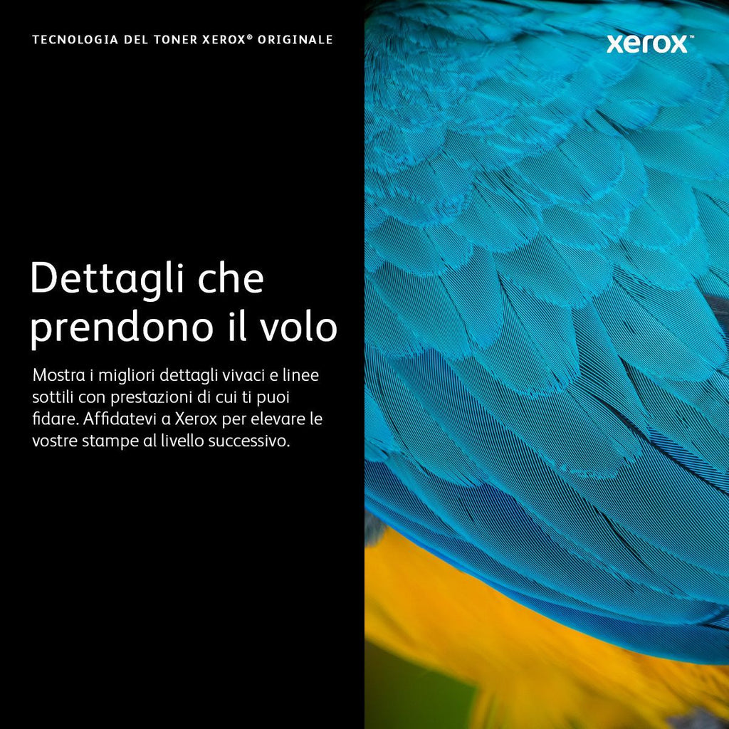 Xerox Cartuccia toner Nero a Alta capacità da 5000 Pagine per WorkCentre 3315/3325 (106R02311) [106R02311]