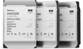 Synology HAS5300-16T disco rigido interno 16 TB 7200 Giri/min 512 MB 3.5" SAS [HAS5300-16T]