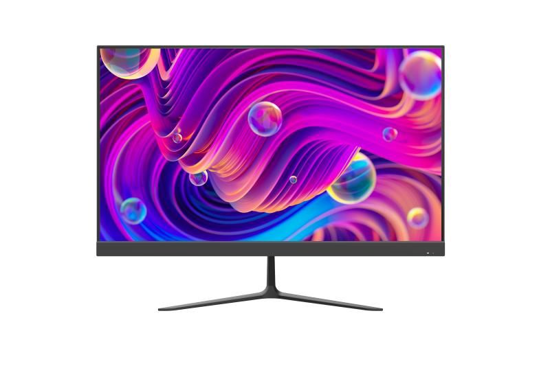 23.8 , VA,HDMI/VGA INPUT, AUDIO INPUT, 100HZ [DS-D5024F2-BV2S]