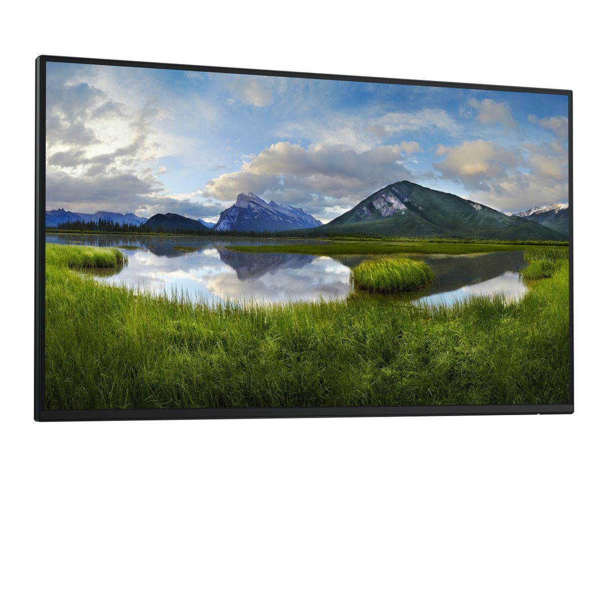 DELL P Series P2725H_WOST Monitor PC 68,6 cm (27") 1920 x 1080 Pixel Full HD LCD Nero [DELL-P2725HWO]