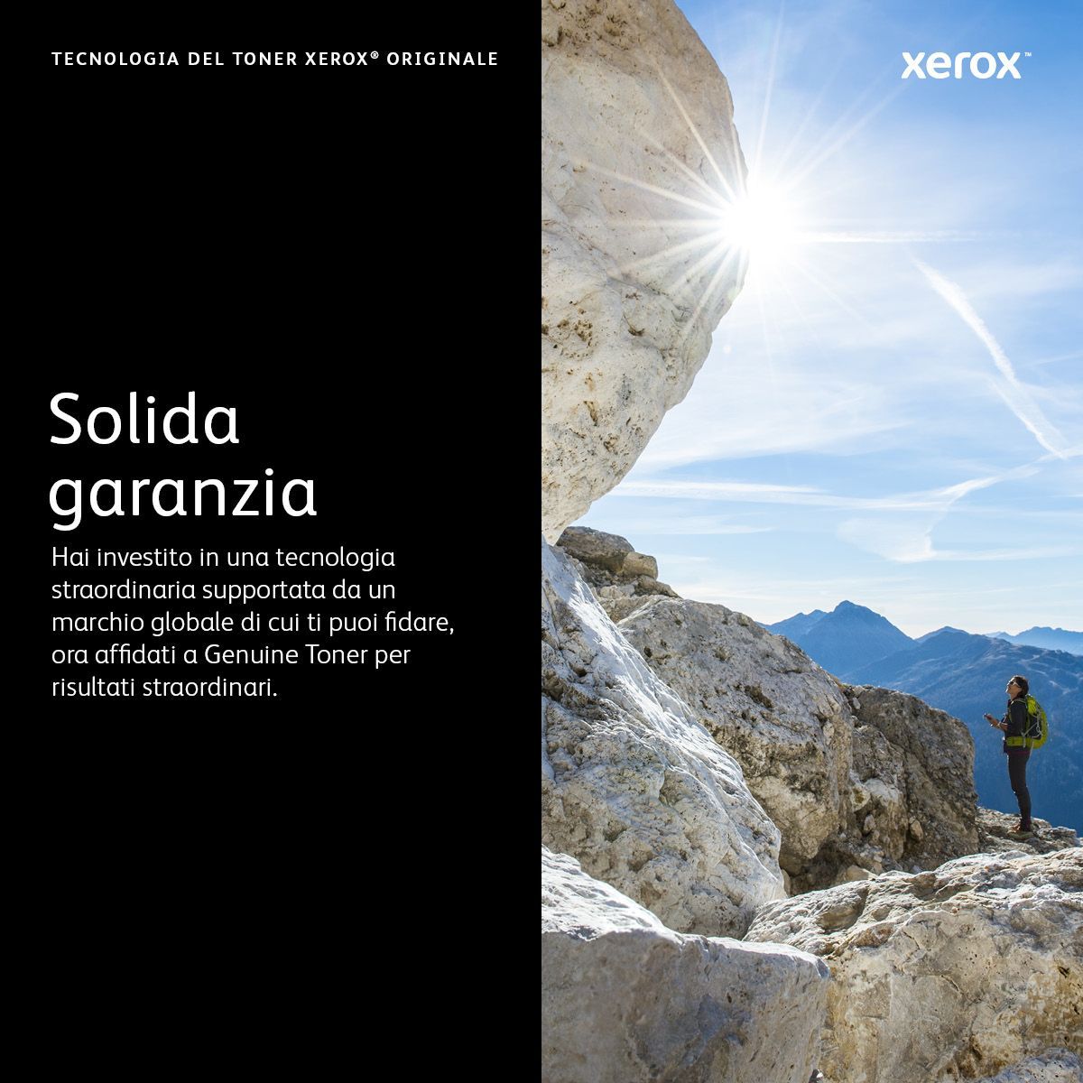 Xerox Cartuccia toner Ciano a Capacità standard da 2500 Pagine per Stampante a colori  VersaLink C400/multifunzione a colori  VersaLink C405 (106R03502) [106R03502]