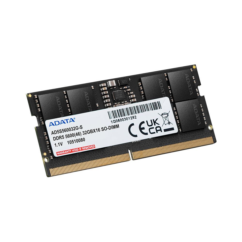 ADATA AD5S560016G-S memoria 16 GB 1 x 16 GB DDR5 5600 MHz Data Integrity Check (verifica integrità dati) [AD5S560016G-S]