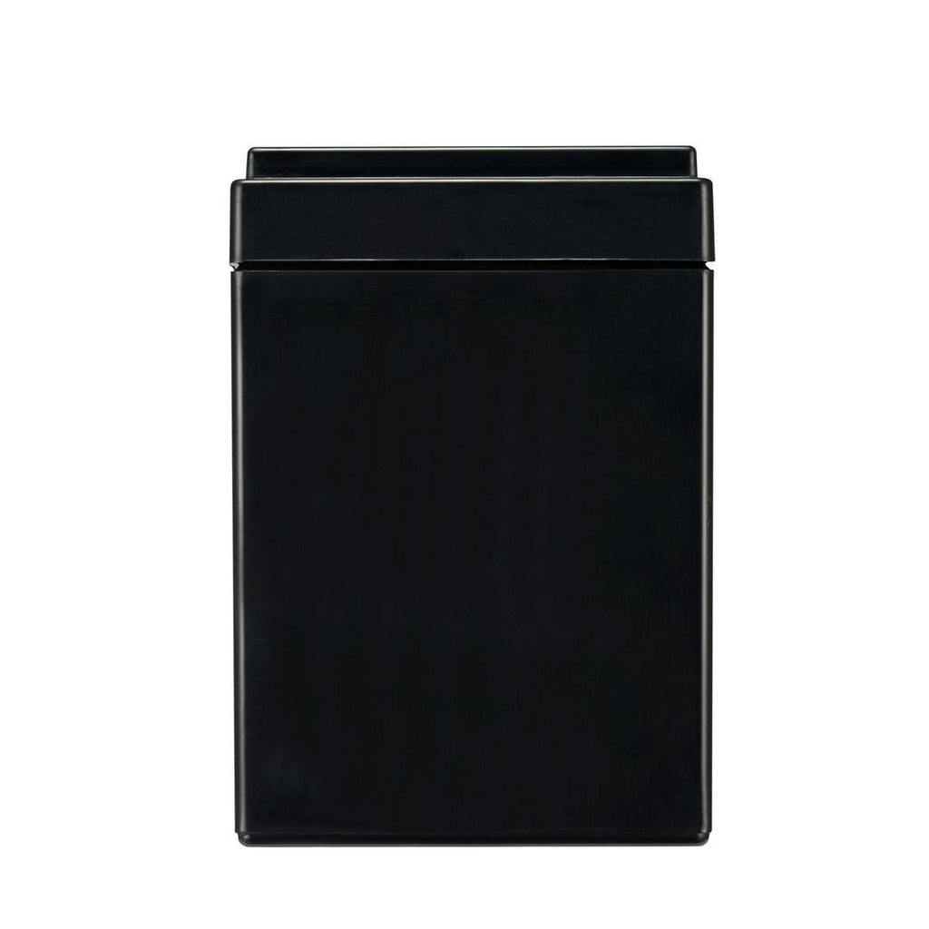 APC APCRBC176 batteria UPS Acido piombo (VRLA) 24 V 9 Ah [APCRBC176]