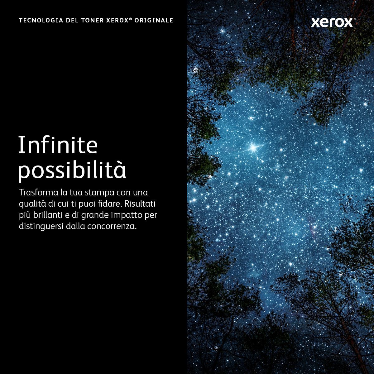Xerox Cartuccia toner Nero a Capacità standard da 10300 Pagine per Stampante  VersaLink B600/B610/multifunzione  VersaLink B605/B615 (106R03940) [106R03940]