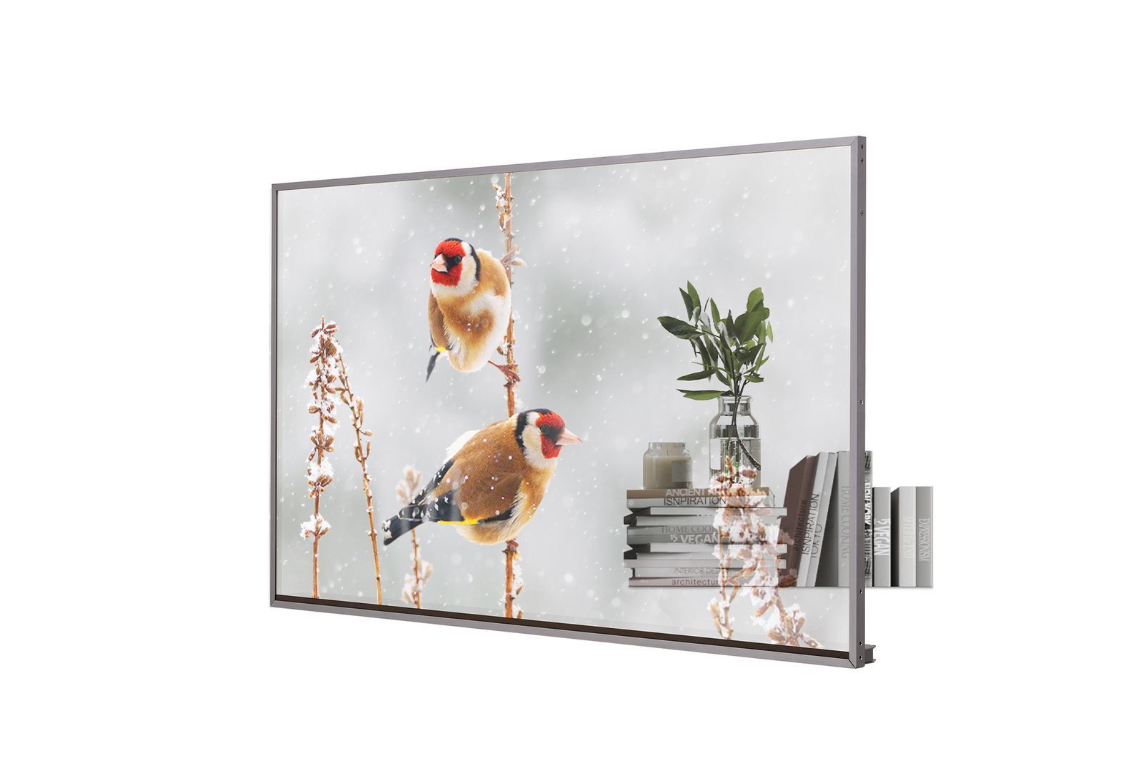 LG 55EW5P-M 55" OLED, 1920X1080, 16:9 Display transparent [55EW5P-M.AEU]