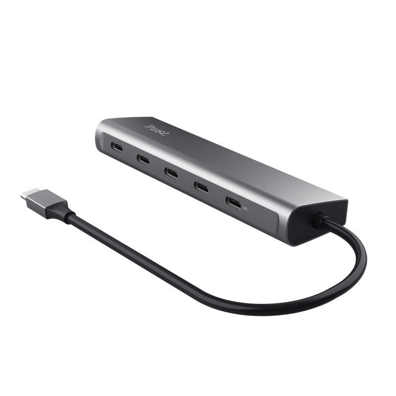 Trust Halyx USB 3.2 Gen 1 (3.1 Gen 1) Type-C Argento [25136]