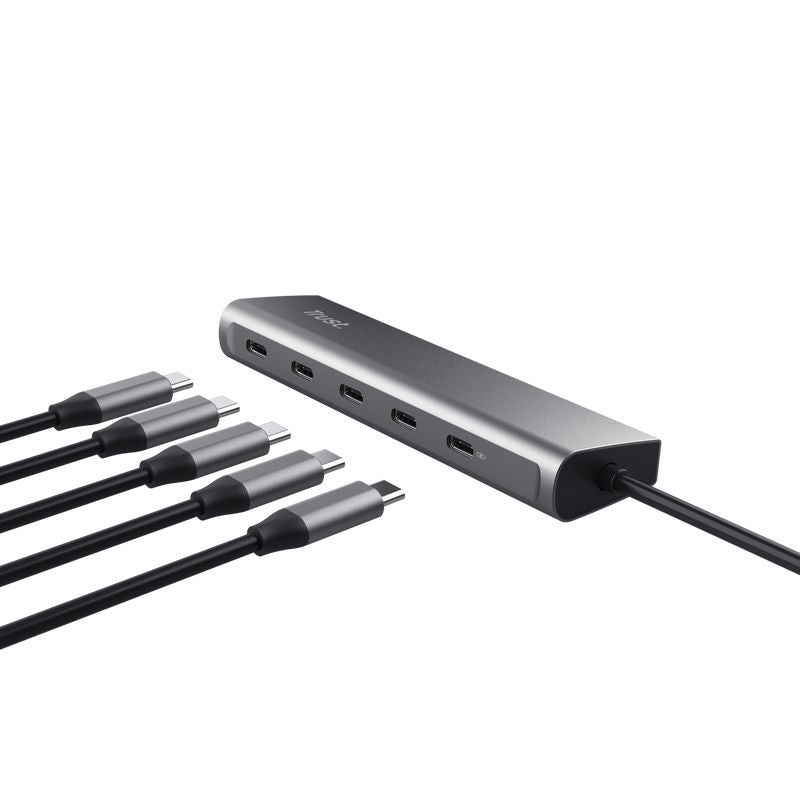 Trust Halyx USB 3.2 Gen 1 (3.1 Gen 1) Type-C Argento [25136]
