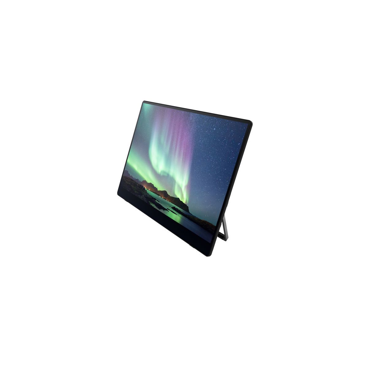 Ricoh Monitor portatile 150BW [514910]