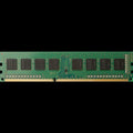 HP 32GB DDR5 (1x32GB) 4800 UDIMM NECC Memory memoria 4800 MHz [4M9Y2AA]