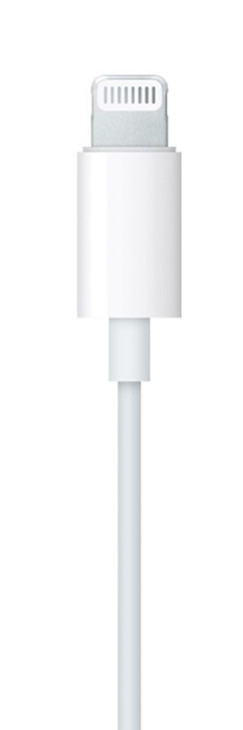 Apple EarPods Auricolare Cablato In-ear Musica e Chiamate Bianco [MWTY3ZM/A]