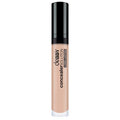 DEBBY CONCEALERSOLUTIONLONG LASTING 1.5