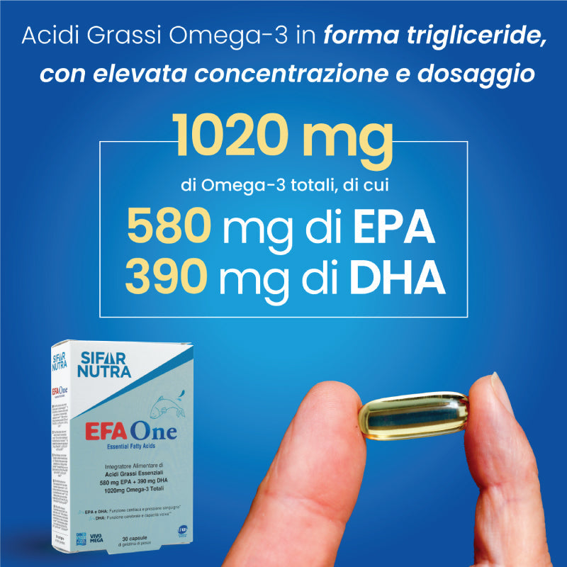 EFA One