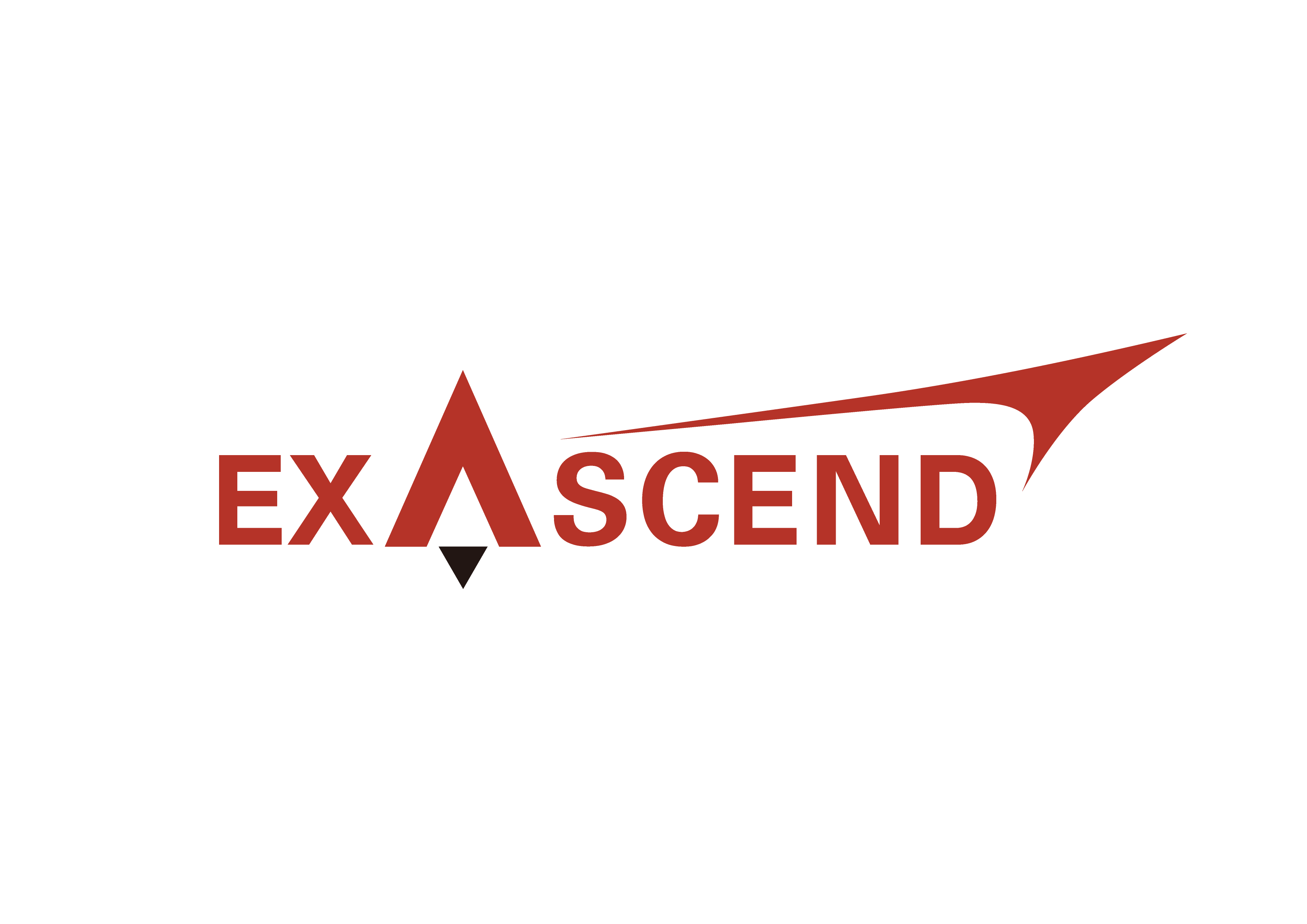 Exascend - Exascend PCIe Gen4 x4 NVMe 1.4 M.2 2280 SSD 480GB [EXPE4M480GB]