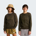 The North Face Felpa Drew Peak Junior Verde New Taupe Green - NF0A8AXX21L