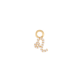 Leone Charm