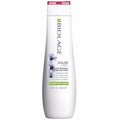 MATRIX BIOLAGE COLORLAST PURPLE BLUE SHAMPOO 250 ML
