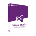 Microsoft Visual Studio Professional 2022 Licenza a Vita